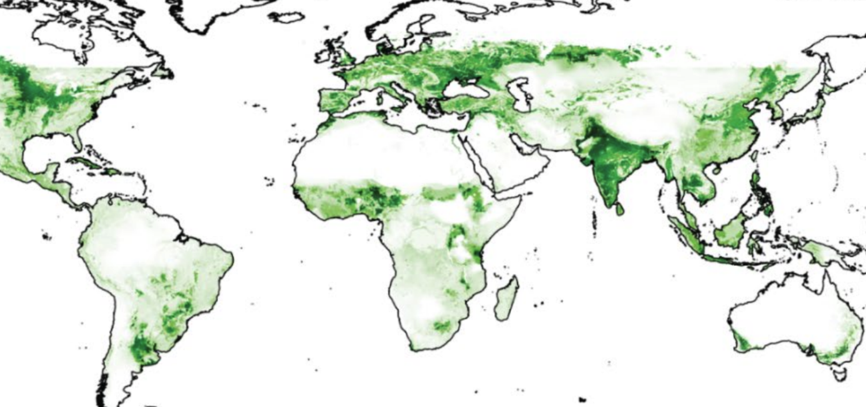 Global Agricultural
